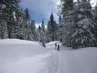 Burnside Road. Burnside Road.