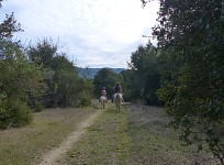 A horse-riding excursion. A horse-riding excursion.