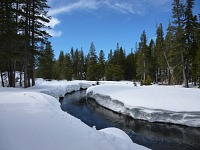 Despite our warm spring there has been a lot of snow. Despite our warm spring there has been a lot of snow.