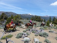 On a ridge above Leavitt Meadows. On a ridge above Leavitt Meadows.