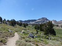 A meadow in Carson Pass. A meadow in Carson Pass.