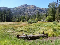 On our way to Lane Lake. On our way to Lane Lake.