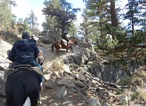 ... and on rocks. ... and on rocks.