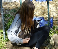 Pixel did not waste time and as a first of our baby goats, has secured his new home. Pixel did not waste time and as a first of our baby goats, has secured his new home.