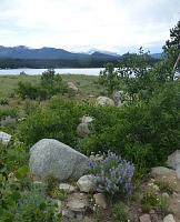 Shoshone National Forest, Wyoming. Shoshone National Forest, Wyoming.