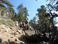 Alex joined us on a horseback ride.