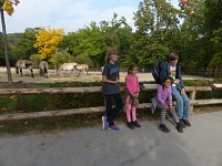 At Przewalski horses. At Przewalski horses.