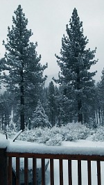 Even the desert side of Sierry Nevada around the cabin got snow.