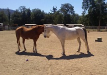 Cash and Ned are reluctant friends.