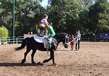 Alice on a horse. Alice on a horse.