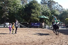 First competition on a real horse. First competition on a real horse.