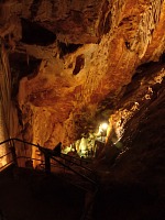 Mercer cavern is mostly vertical. Mercer cavern is mostly vertical.