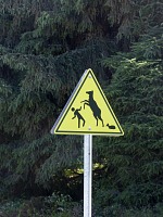 Caution, elks will defend their young! Caution, elks will defend their young!