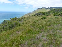 Coast of Northern California. Coast of Northern California.