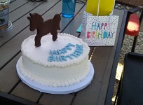 Lisa's Cake. Lisa's Cake.