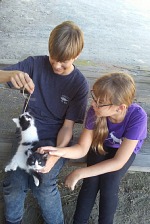 Rescued kittens. Rescued kittens.