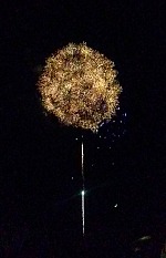 Fireworks in Bridgeport. Fireworks in Bridgeport.