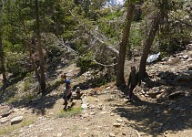 Coming down was harder than going up. Coming down was harder than going up.
