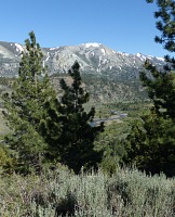 Leavitt Meadows. Leavitt Meadows.