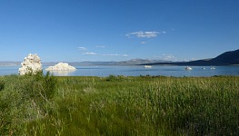 Northern Mono Lake. Northern Mono Lake.