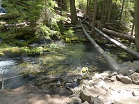 Clear water in Clearwater Creek. Clear water in Clearwater Creek.