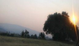 Smoke has driven us out of Jefferson State. Smoke has driven us out of Jefferson State.
