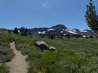 Round Top dominating the mountain meadow.