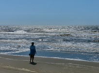 Pepe at Moss Landing. Pepe at Moss Landing.