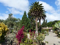 Mission garden. Mission garden.