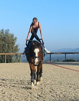 Lisa advanced to a higher team, with a taller horse. Lisa advanced to a higher team, with a taller horse.