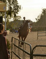 I hurried to catch a picture of Lisa riding the horse, I was almost late. I hurried to catch a picture of Lisa riding the horse, I was almost late.