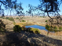 Calero Calero