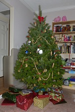 In the end we manged to ski and a tree with presents. In the end we manged to ski and a tree with presents.