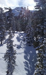 January was beautifully covered in snow. January was beautifully covered in snow.