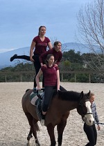 Up to tree vaulters may be on the horse at the same time during a team number. Up to tree vaulters may be on the horse at the same time during a team number.