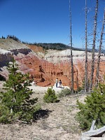 Cedar Breaks se otevírají jako jáma v náhorní plošině Markagunt.