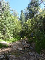 On the third day of our trip we had finally driven out of deserts and into the green - Hidden Haven. On the third day of our trip we had finally driven out of deserts and into the green - Hidden Haven.