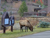 Chuck decided to exploit the advantages of city living. Chuck decided to exploit the advantages of city living.