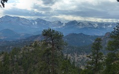 Rockies. Rockies.
