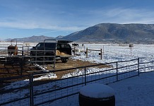 Camper top of the pickup has nice room for my goaties. Camper top of the pickup has nice room for my goaties.