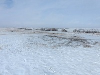 Prairie. Prairie.