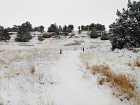 Pine Bluffs is a beautiful rocky area east of us. Pine Bluffs is a beautiful rocky area east of us.