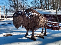 We recommend Terry Bison Ranch to all visitors. We recommend Terry Bison Ranch to all visitors.