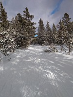 Cross-country skiing trail. Cross-country skiing trail.