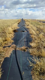Future wind barrier. Future wind barrier.