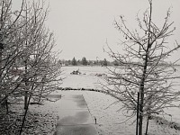 Snow came — traditionally, they say — on Mothers' Day. Snow came — traditionally, they say — on Mothers' Day.