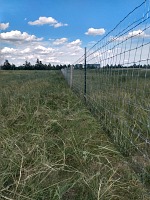Finally we got ourselves a sturdy goat-proof fence. Finally we got ourselves a sturdy goat-proof fence.