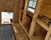 Chickens approved this hen-house. Chickens approved this hen-house.