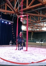 Lisa and I went to see a circus. Lisa and I went to see a circus.