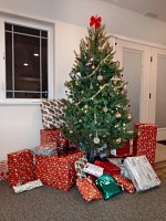 Christmas. Christmas.